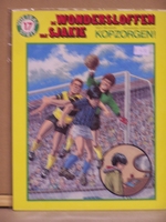 17 kopzorgen